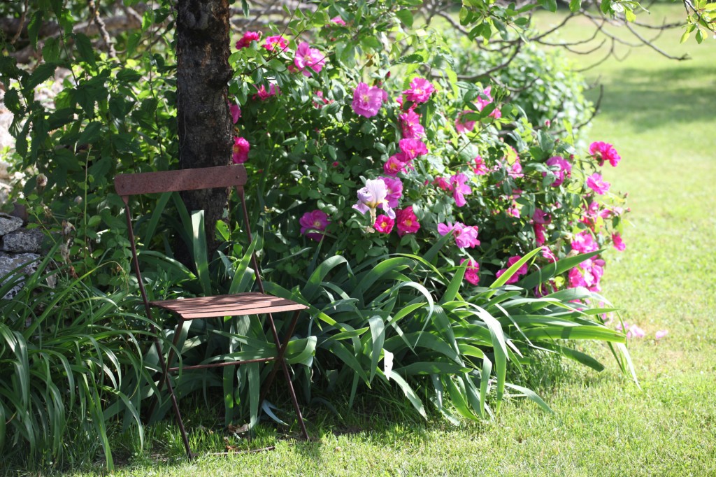 Jardin de la Bigotie © Véronique Mure