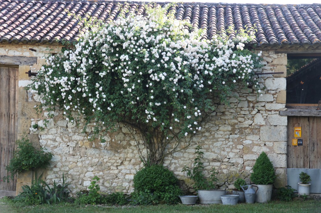 Jardin de la Bigotie photo véronique Mure