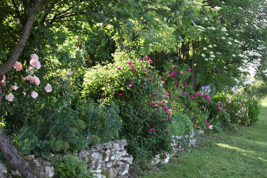 Jardin de la Bigotie © Véronique Mure