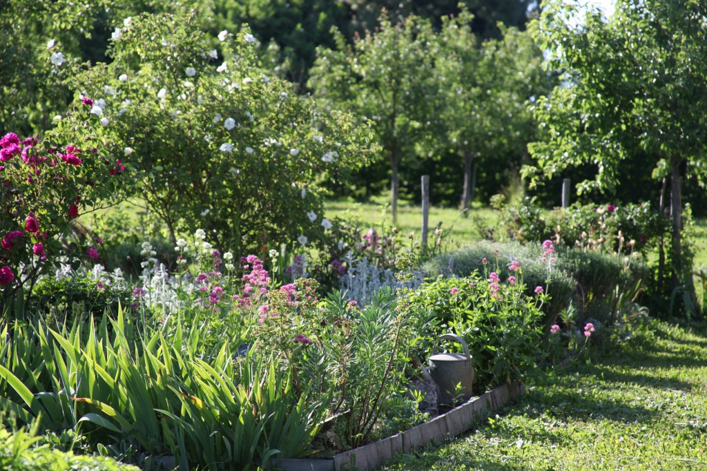 Jardin de la Bigotie © Véronique Mure