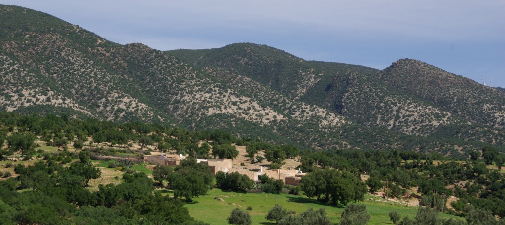 forêt d'arganiers Maroc Moyen Atlas