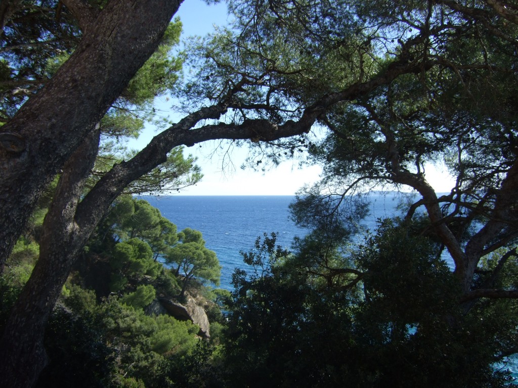 Domaine du Rayol © Véronique Mure