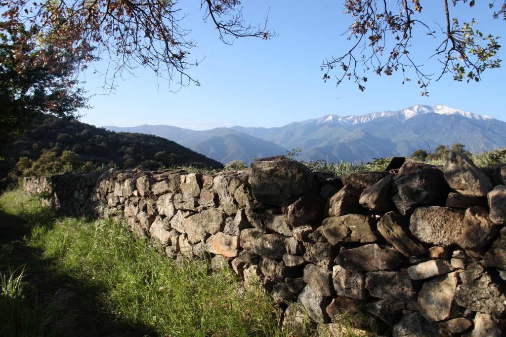 Canigou © Véronique Mure