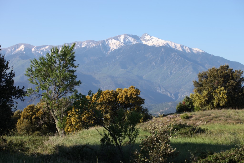 Canigou © Véronique Mure