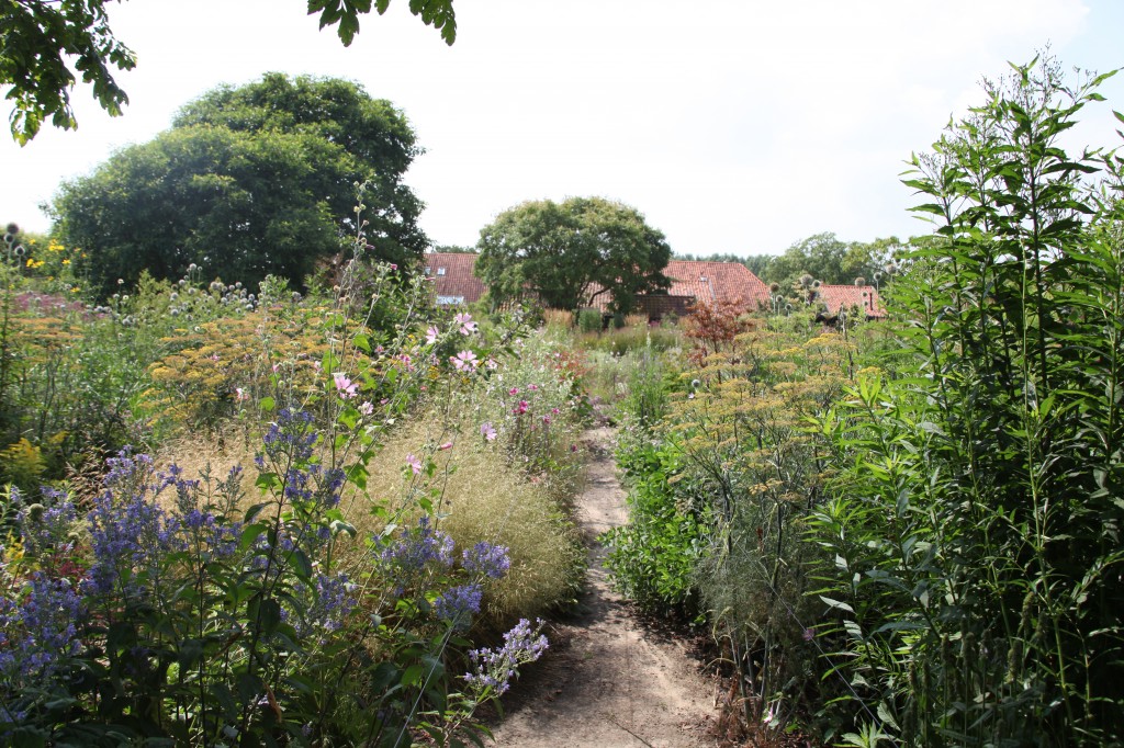 Jardin d'essai de Piet Oudolf