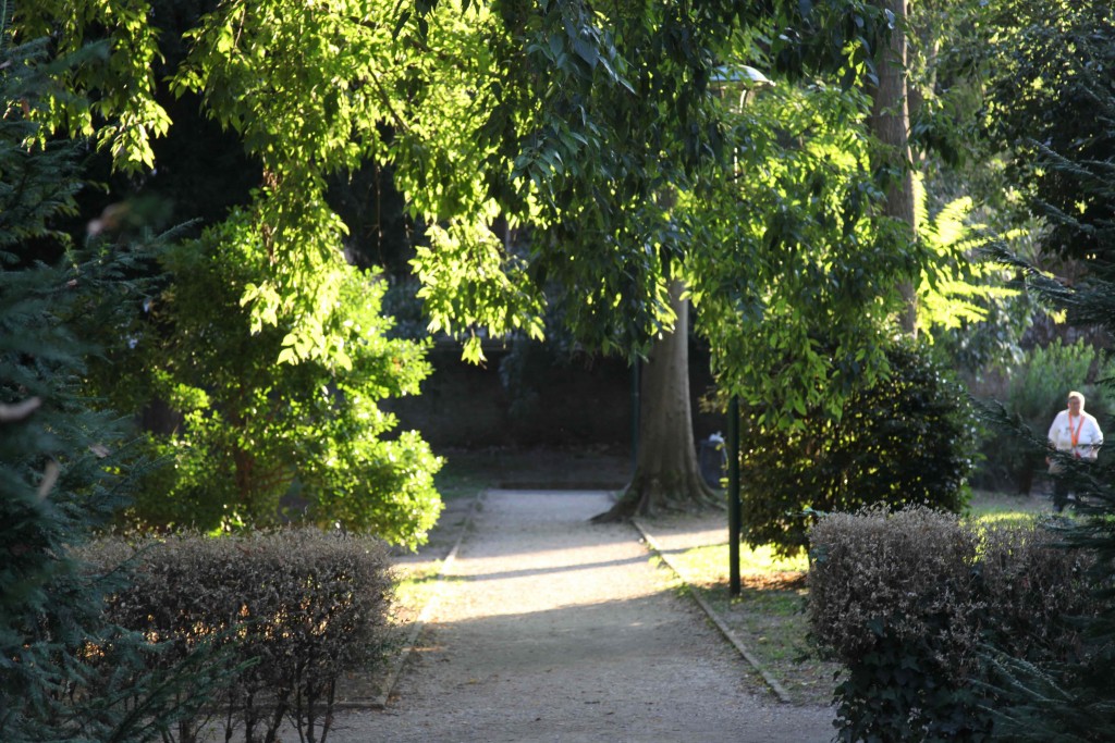 Parc Savorgnan ©Véronique Mure