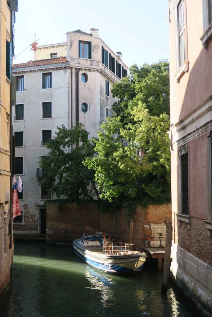 Jardins à Venise #VéroniqueMure