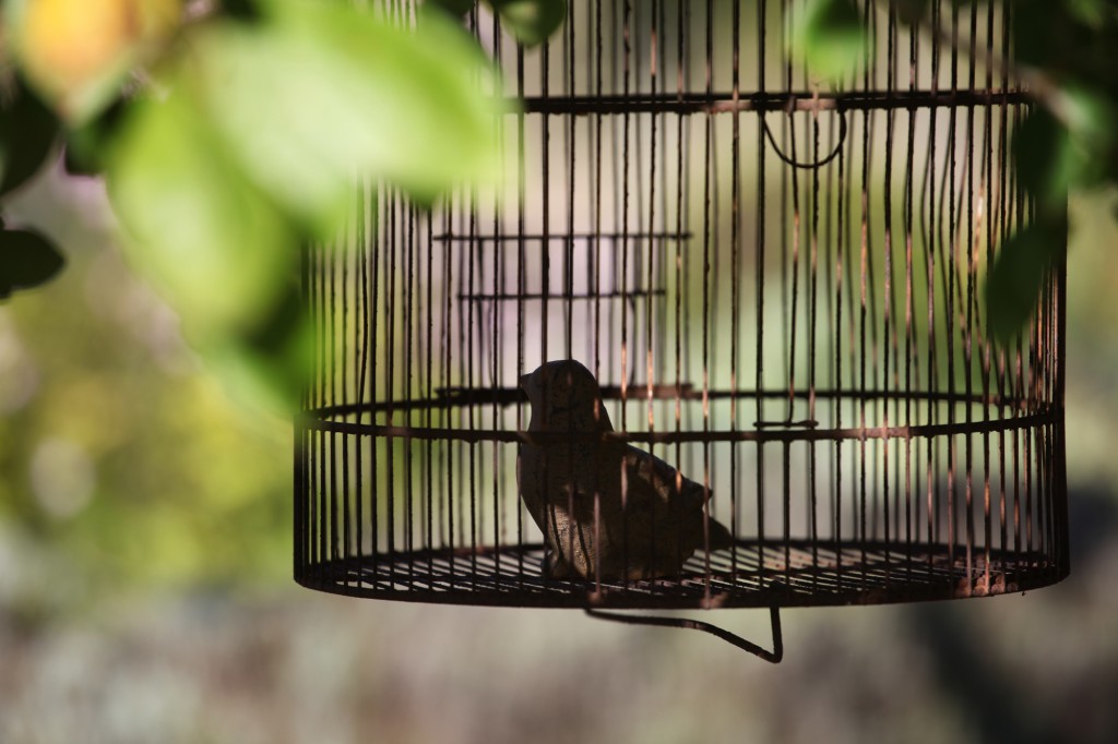 Jardin de la Bigotie © Véronique Mure