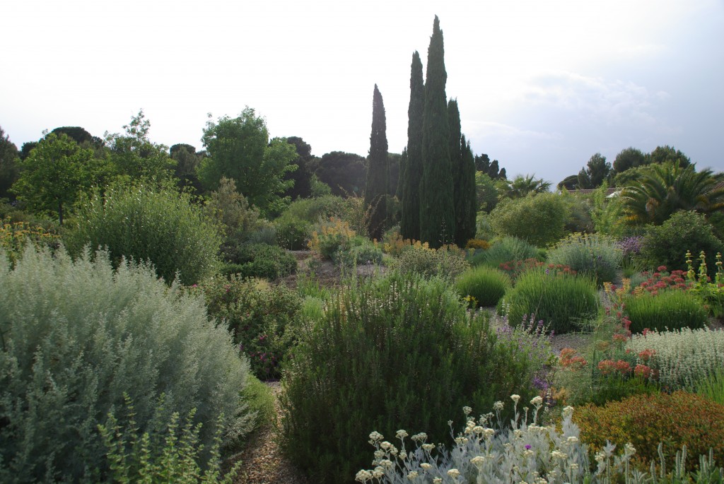 Jardin d'essai Olivier Filippi (Mèze)