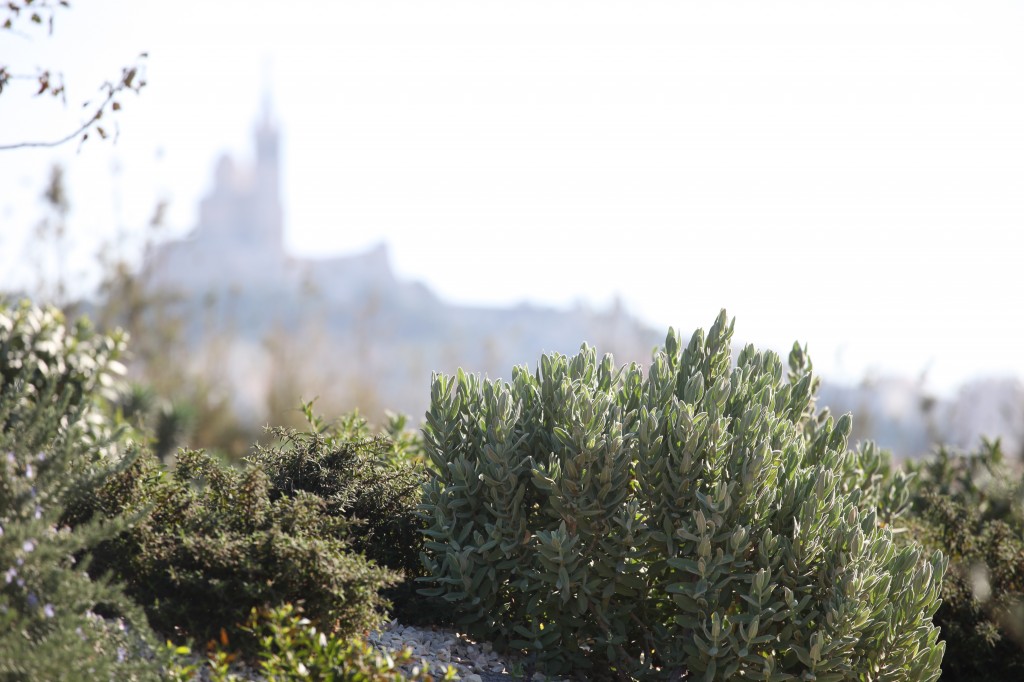 Jardin des migrations - Mucem © V Mure