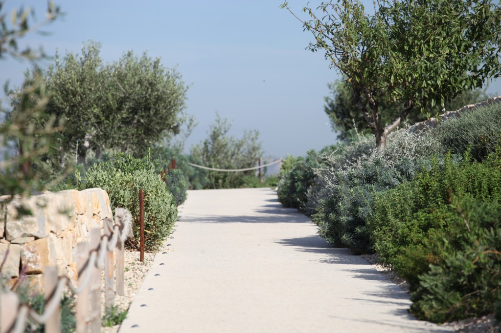 Jardin des migrations - Mucem © V Mure