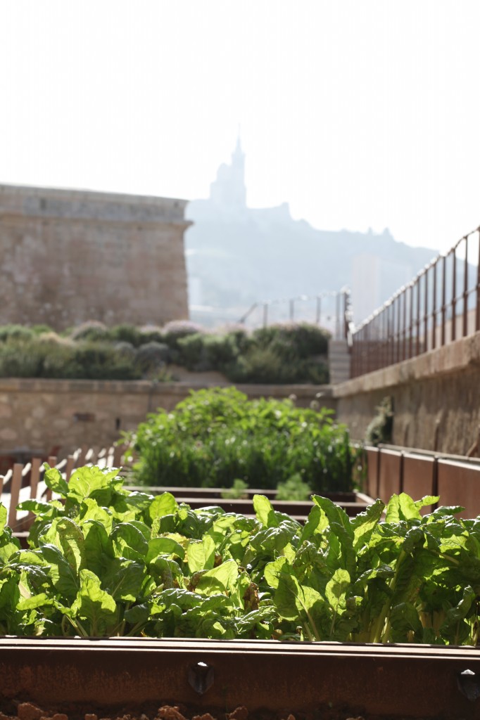 Jardin des migrations - Mucem © V Mure