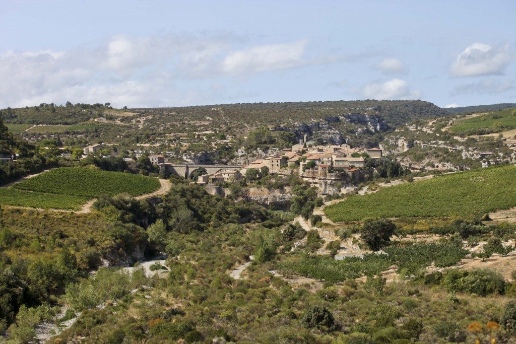 Minerve