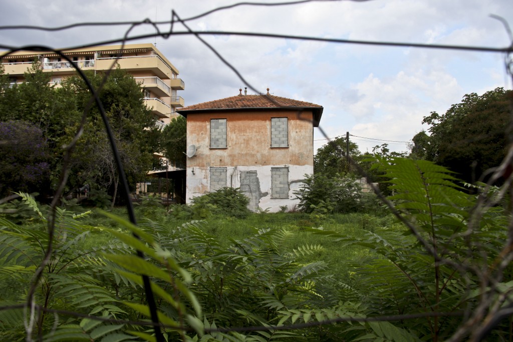 Ailanthus altissima © Véronique Mure