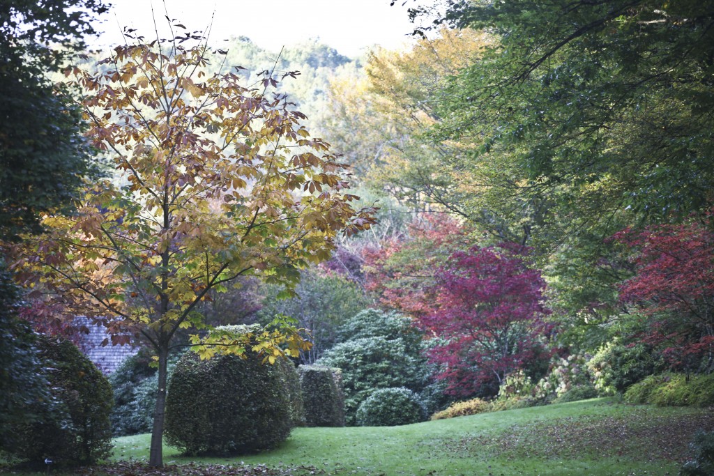 #veroniquemure #Sedelle #arboretum #Creuse