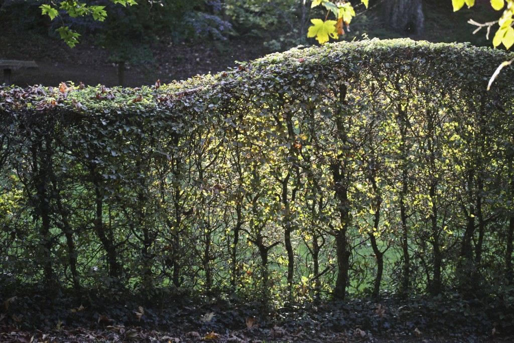 #veroniquemure #Sedelle #arboretum #Creuse