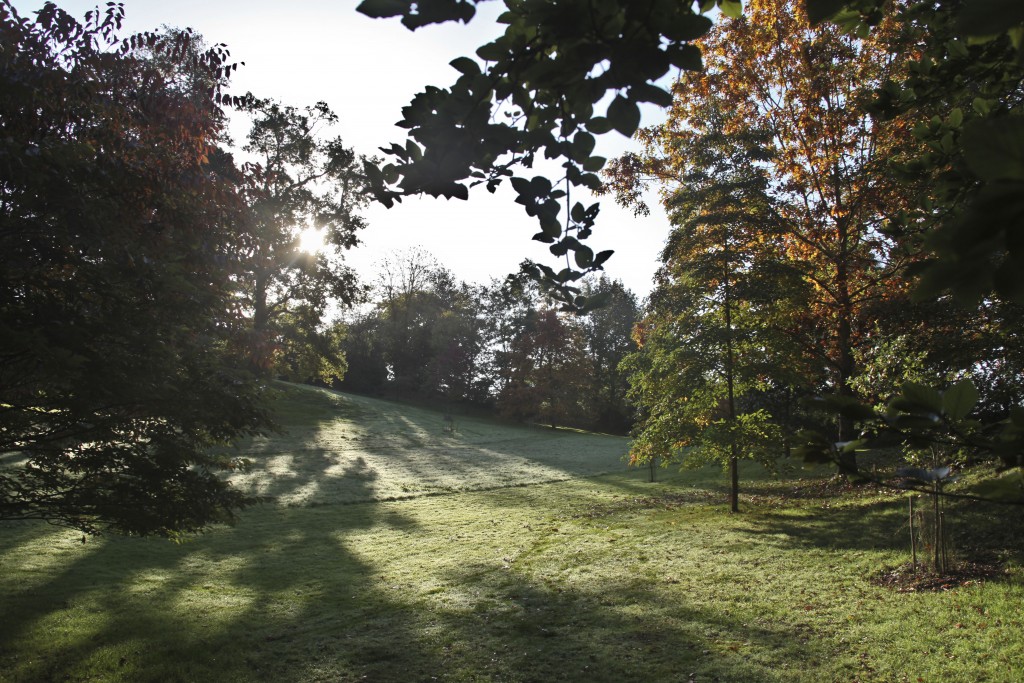 #veroniquemure #Sedelle #arboretum #Creuse