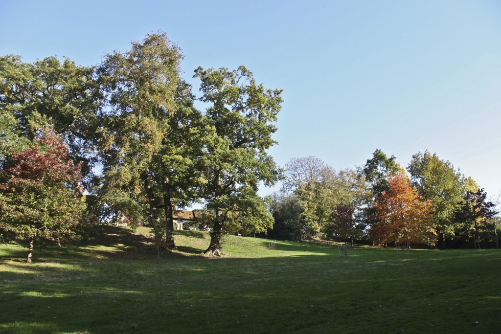 #veroniquemure #Sedelle #arboretum #Creuse