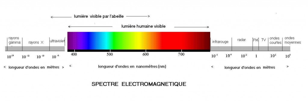 spectre-electromagnetique-ondes-lumiere