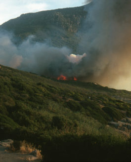 Paysages du feu