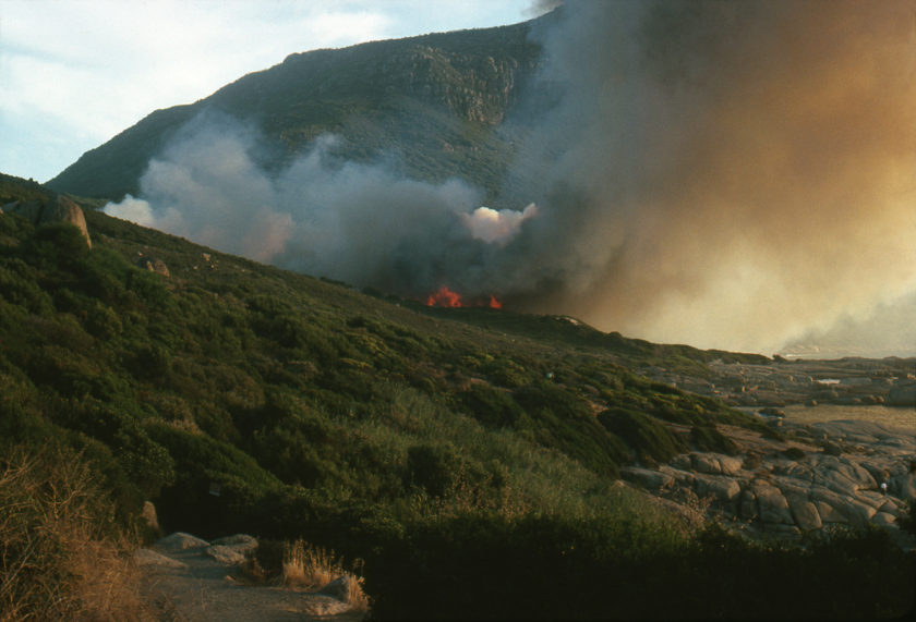 Paysages du feu