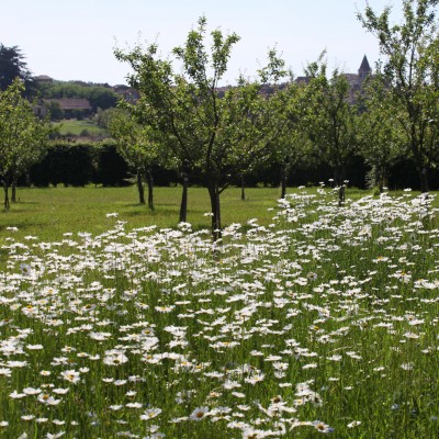 Jardins de la Bigotie, Marsalès (24) 2002 – 2013