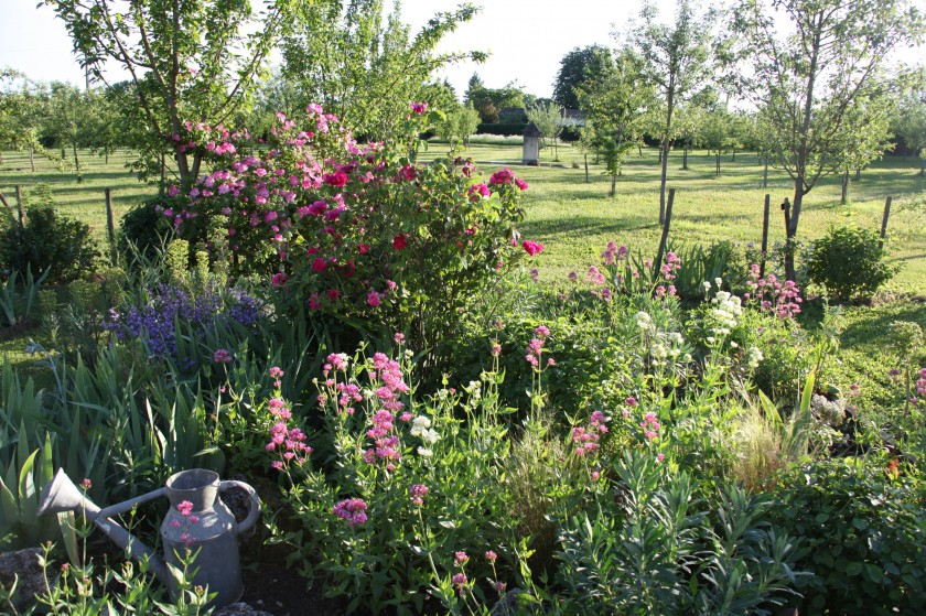 L’été au jardin… Article paru dans le Bufarot n°14