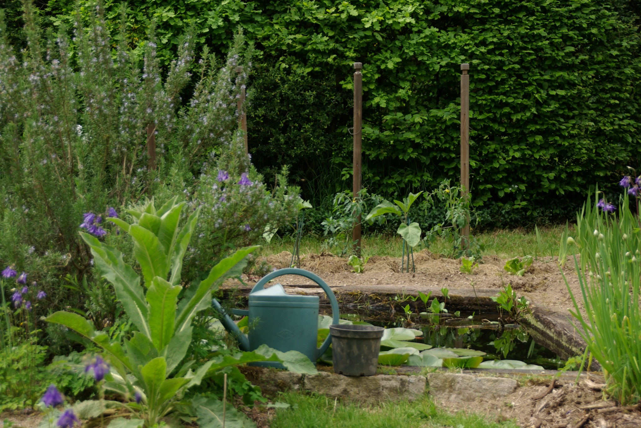 Jardin De La Résistance