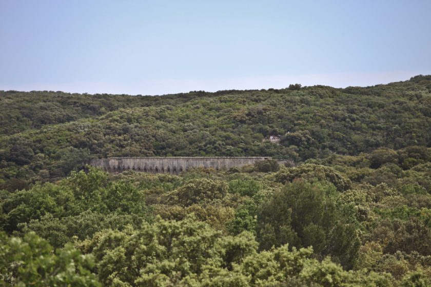 Testez vos connaissances sur la forêt méditerranéenne!