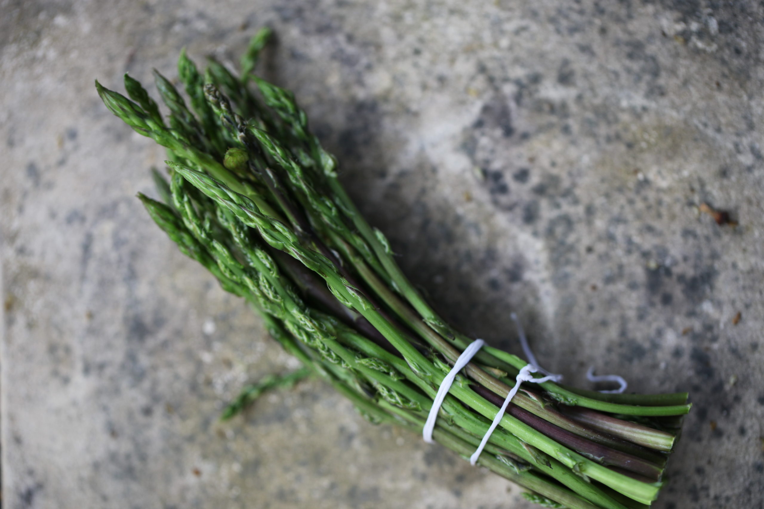 Asperges sauvages | Botanique Jardins Paysages