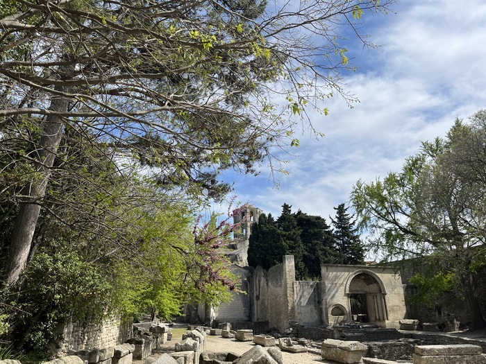 La nature en ville : histoire, constats et perspectives