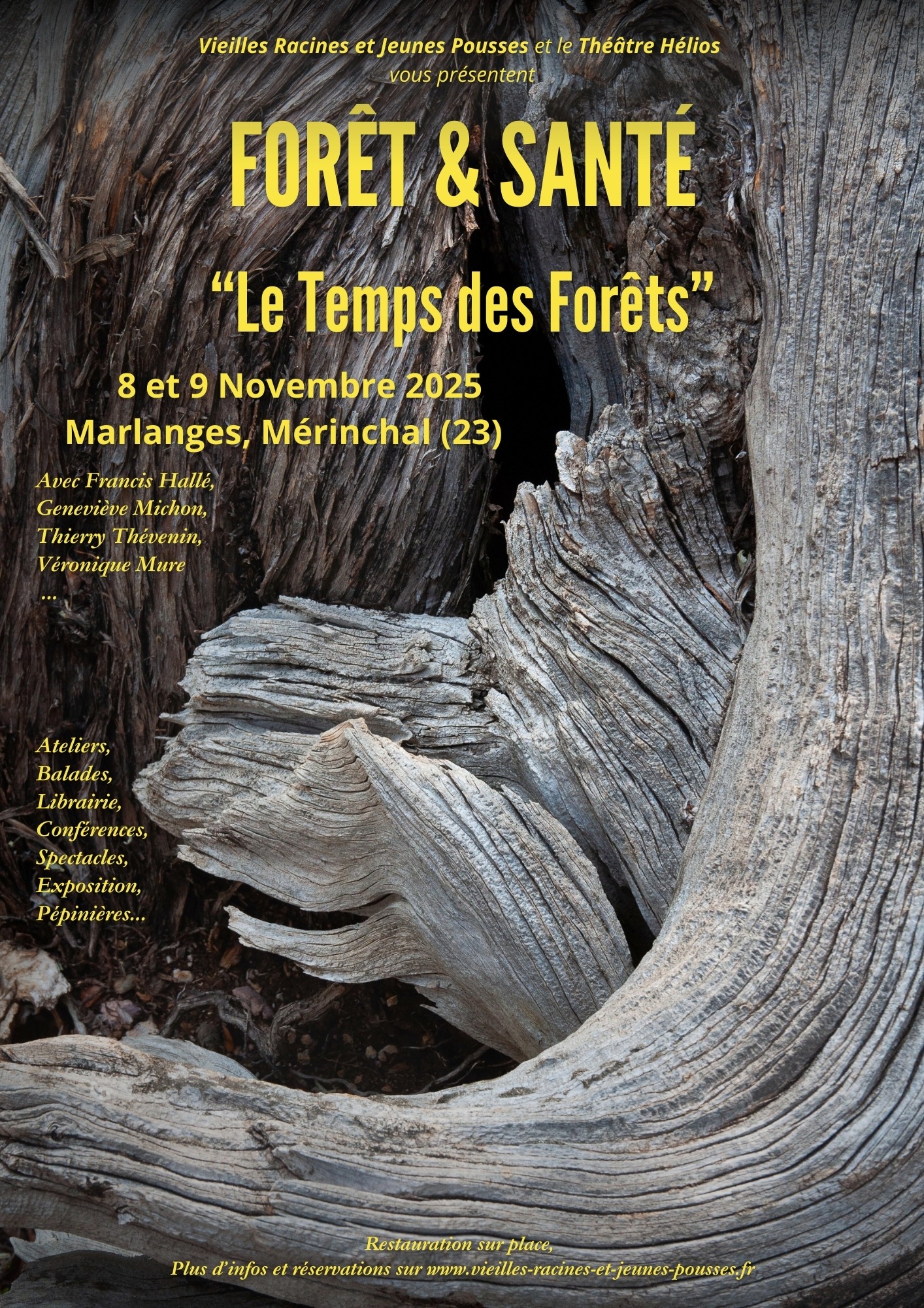 Les cernes du temps – Forêt et santé 2025 