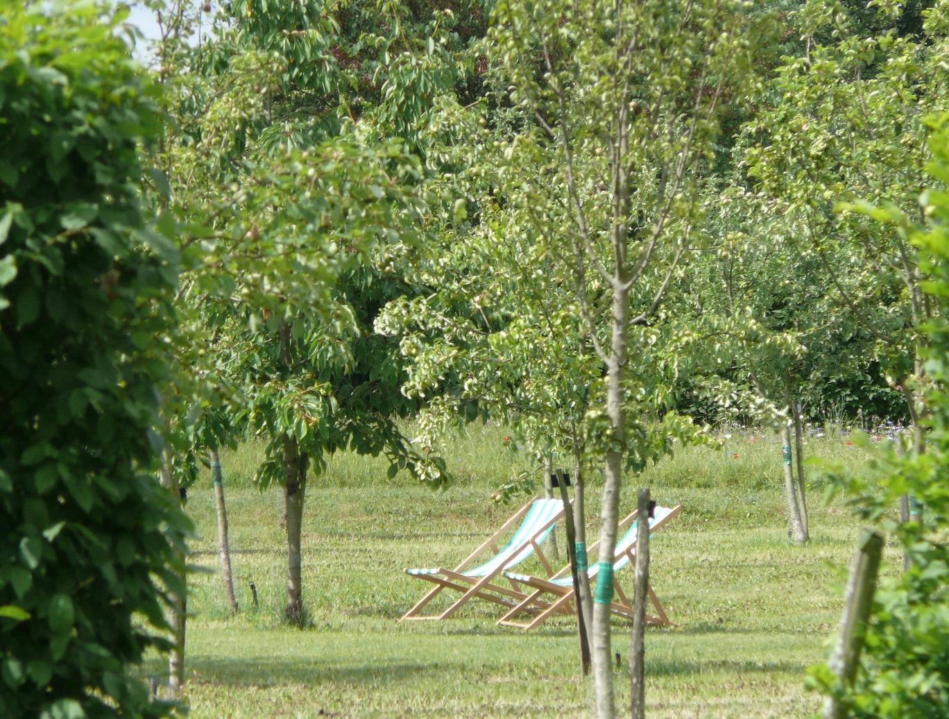 Et si nous arrêtions de vouloir des jardins « propres » ?