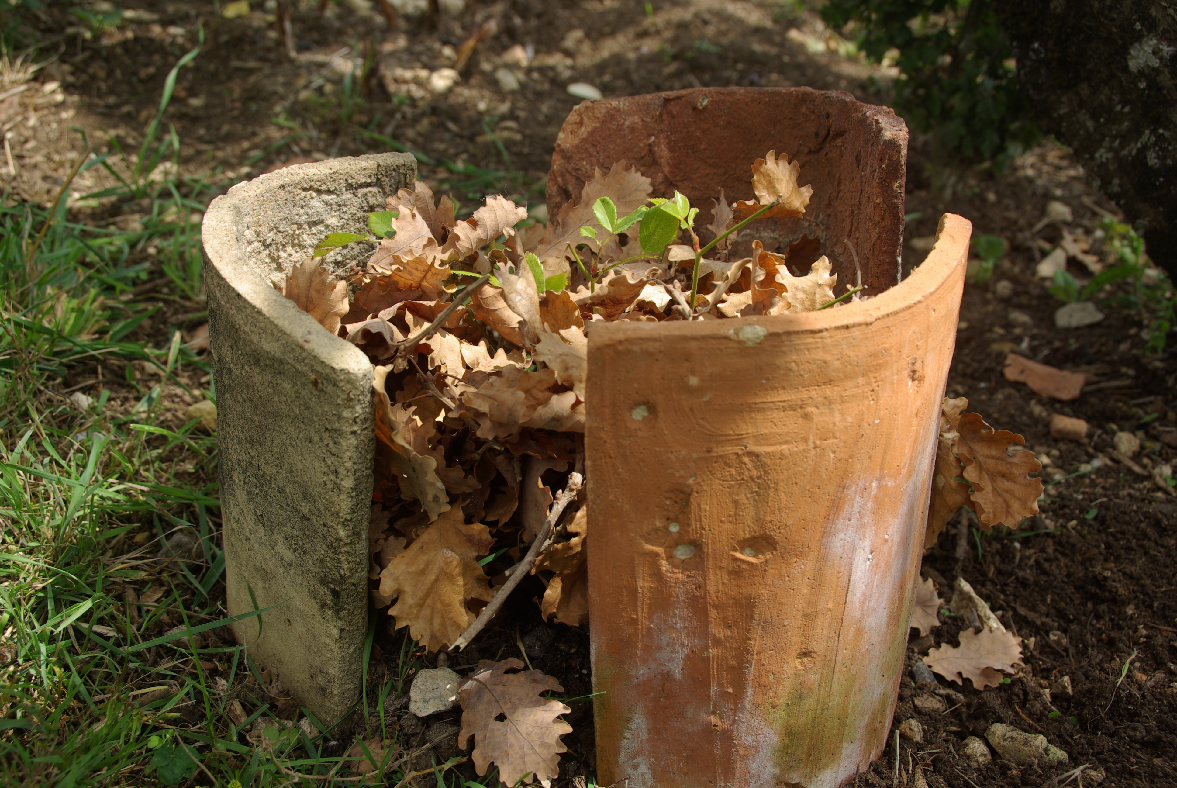 « L’automne au jardin », article paru dans le Bufarot n°15