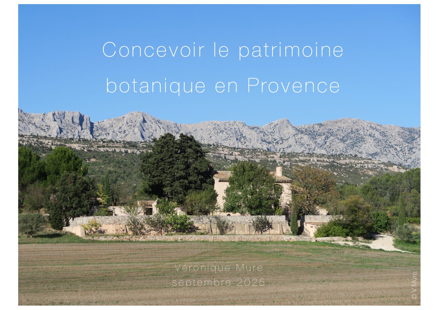 Concevoir le patrimoine botanique en Provence