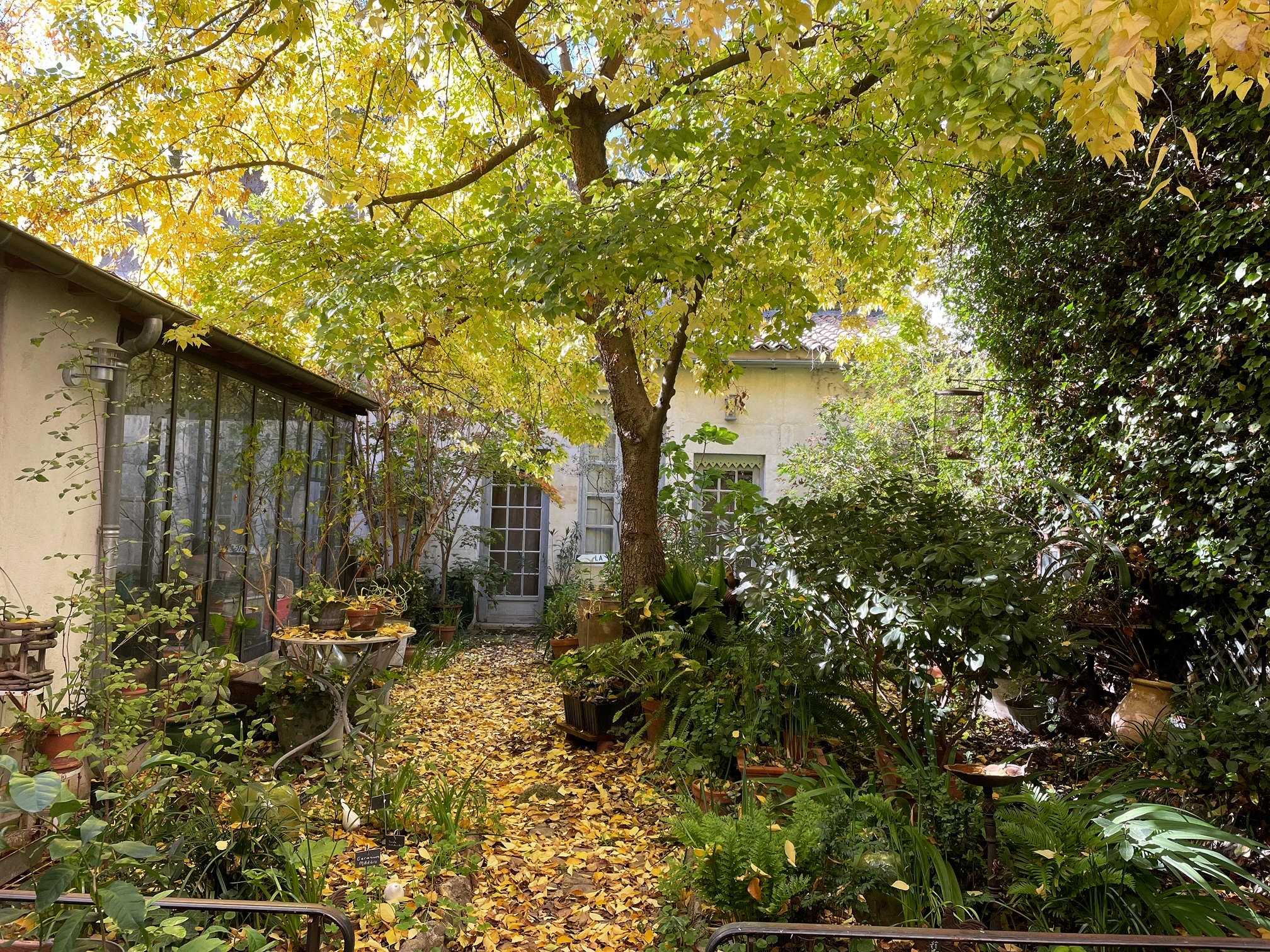 Jardin en ville nov 2023 ©vmure