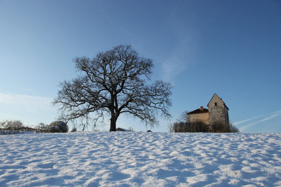 Élégie du matin