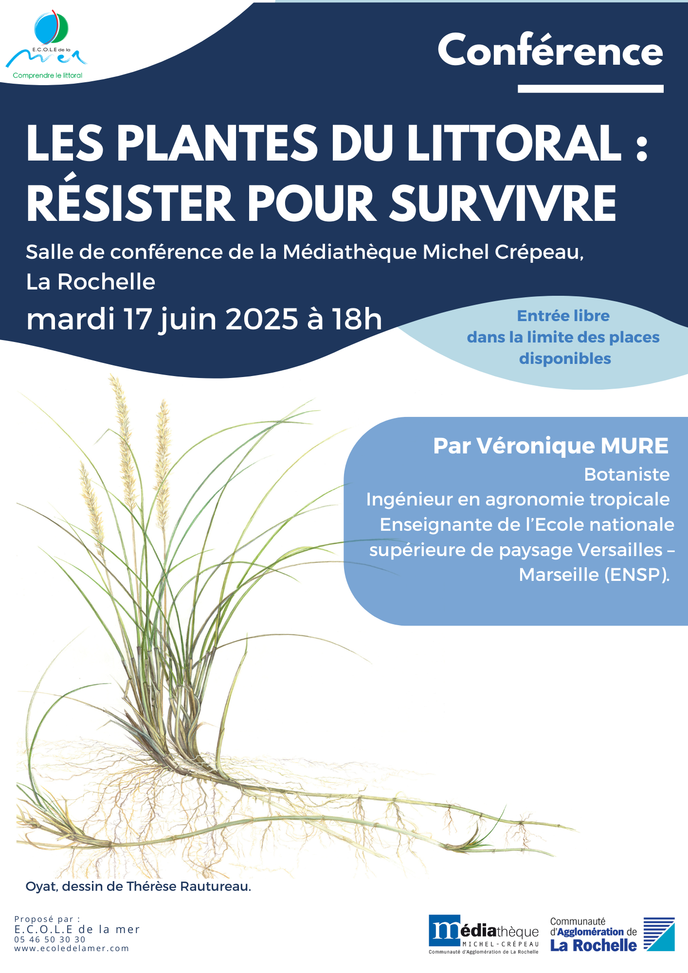 Les plantes du littoral : résister pour survivre