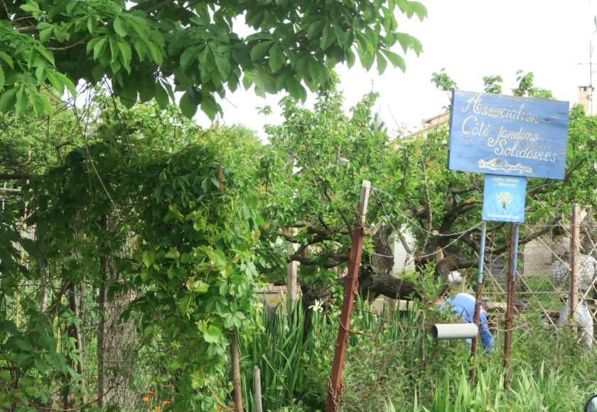 Du côté des jardins solidaires