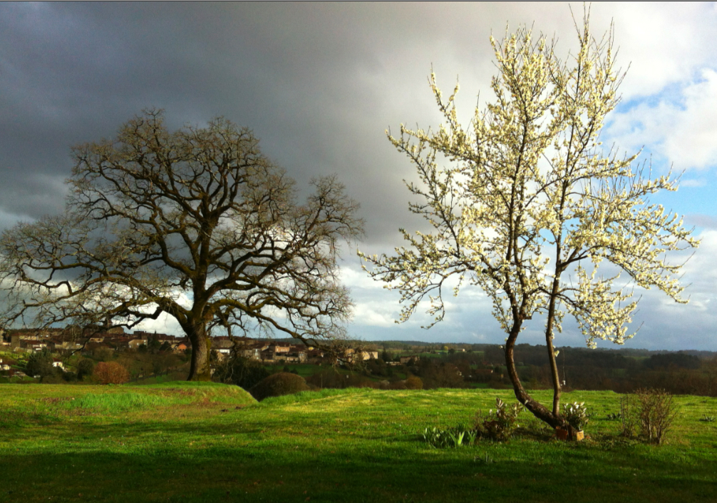 Tout jardin est, d’abord, l’apprentissage du temps, du temps qu’il fait, la pluie, le vent, le soleil, et le temps qui passe, le cycle des saisons.