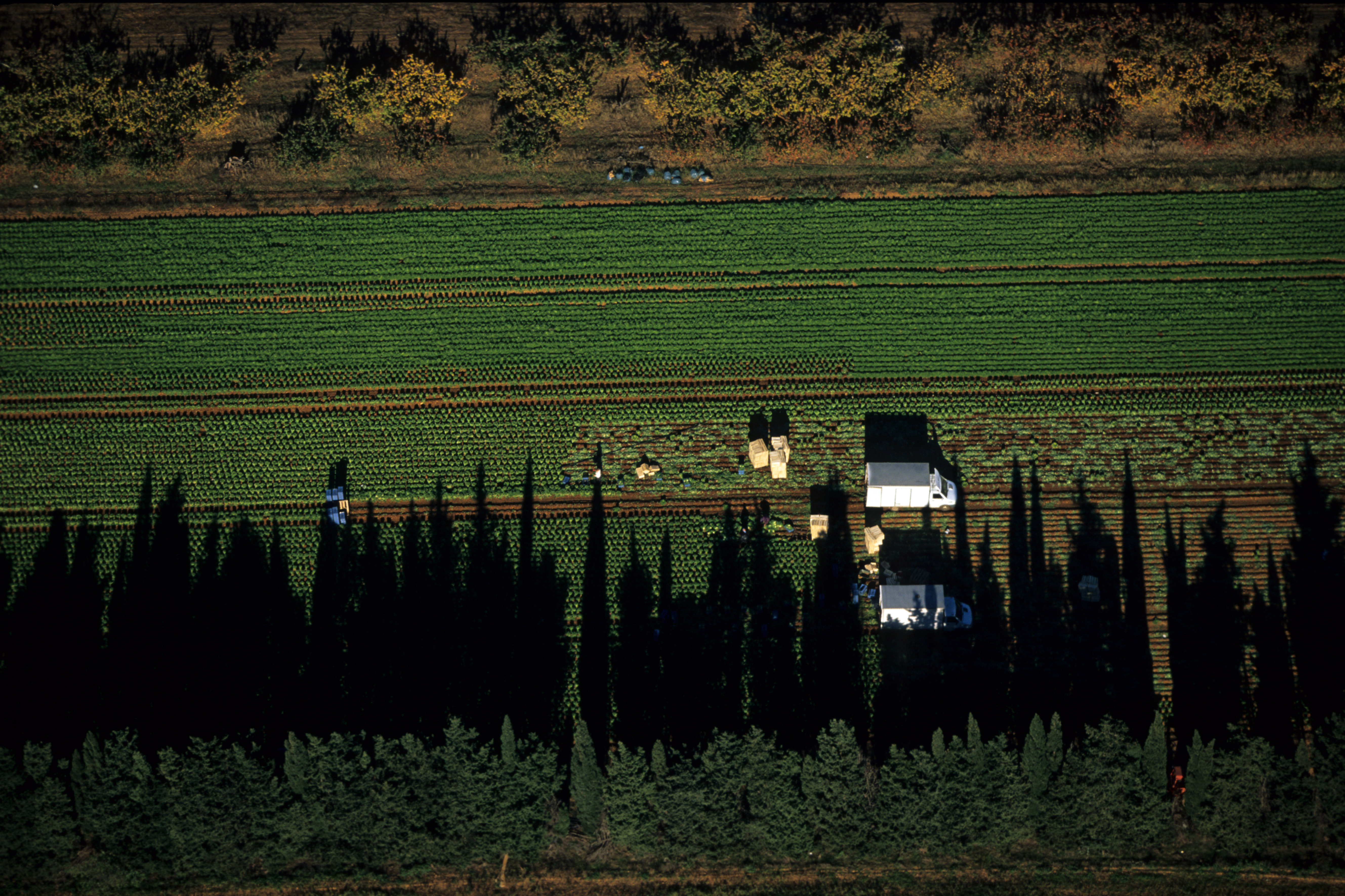 Bouillargues s © Gilles Martin Raget