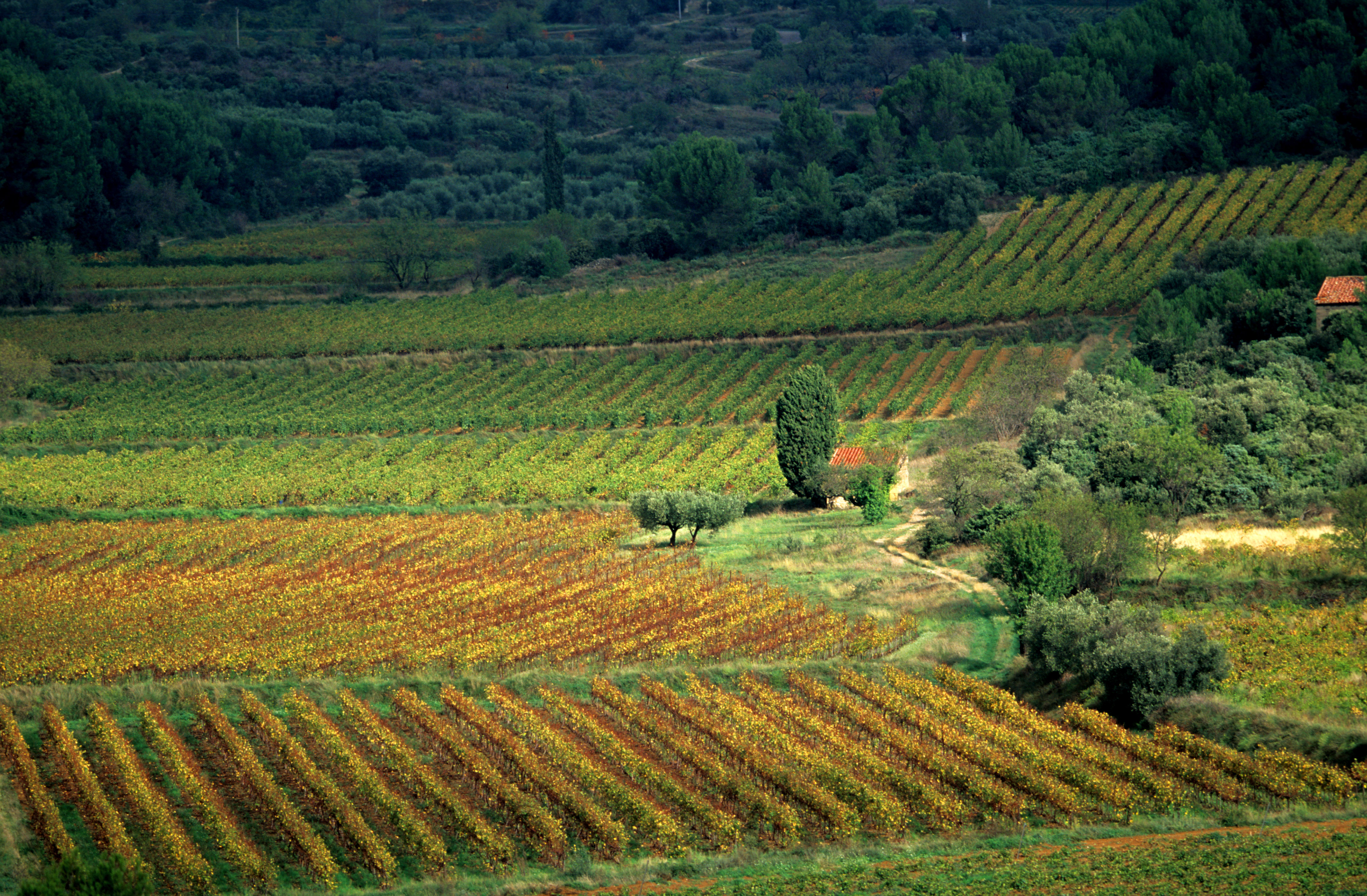 Cabrières s © Gilles Martin Raget