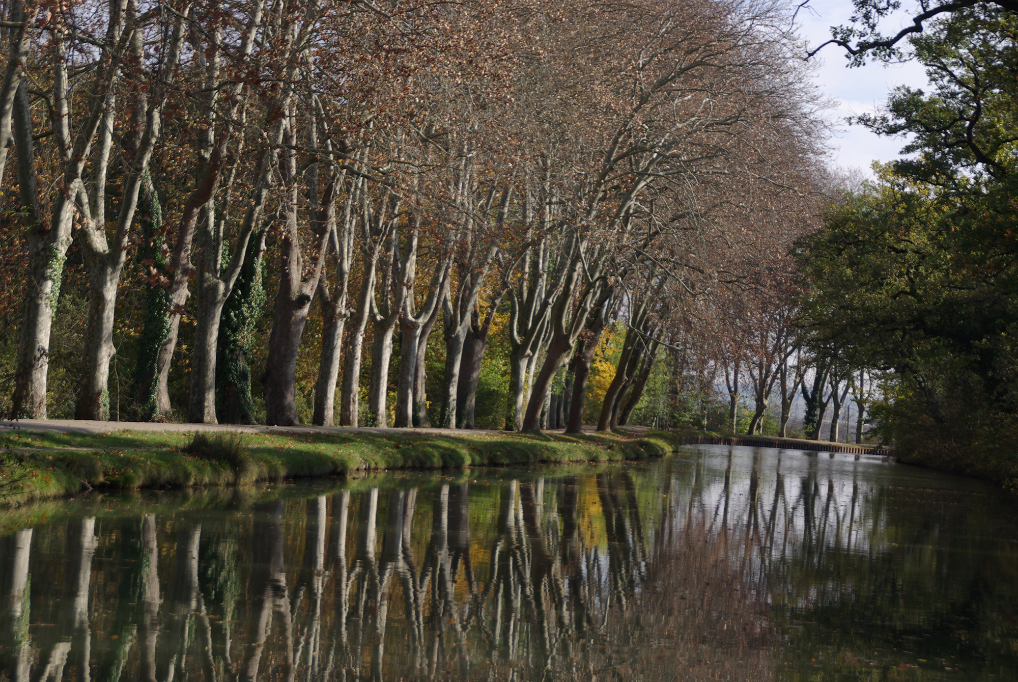 Canal du midi