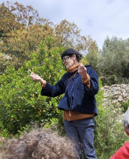 Interview de Véronique Mure sur notre relation aux plantes, pour l’émission radiophonique « On n’est pas sorti des ronces » par Jordan Herlem – novembre 2022.