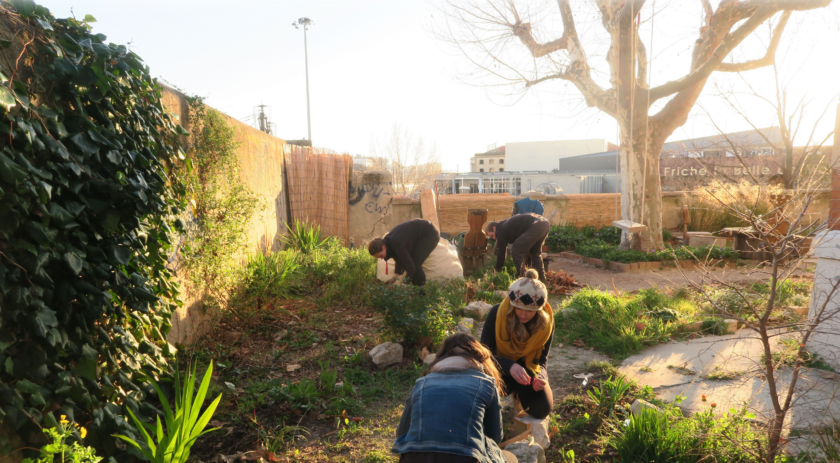 Entre friche et toiture, jardiner la ville méditerranéenne à l&rsquo;ENSP – Marseille
