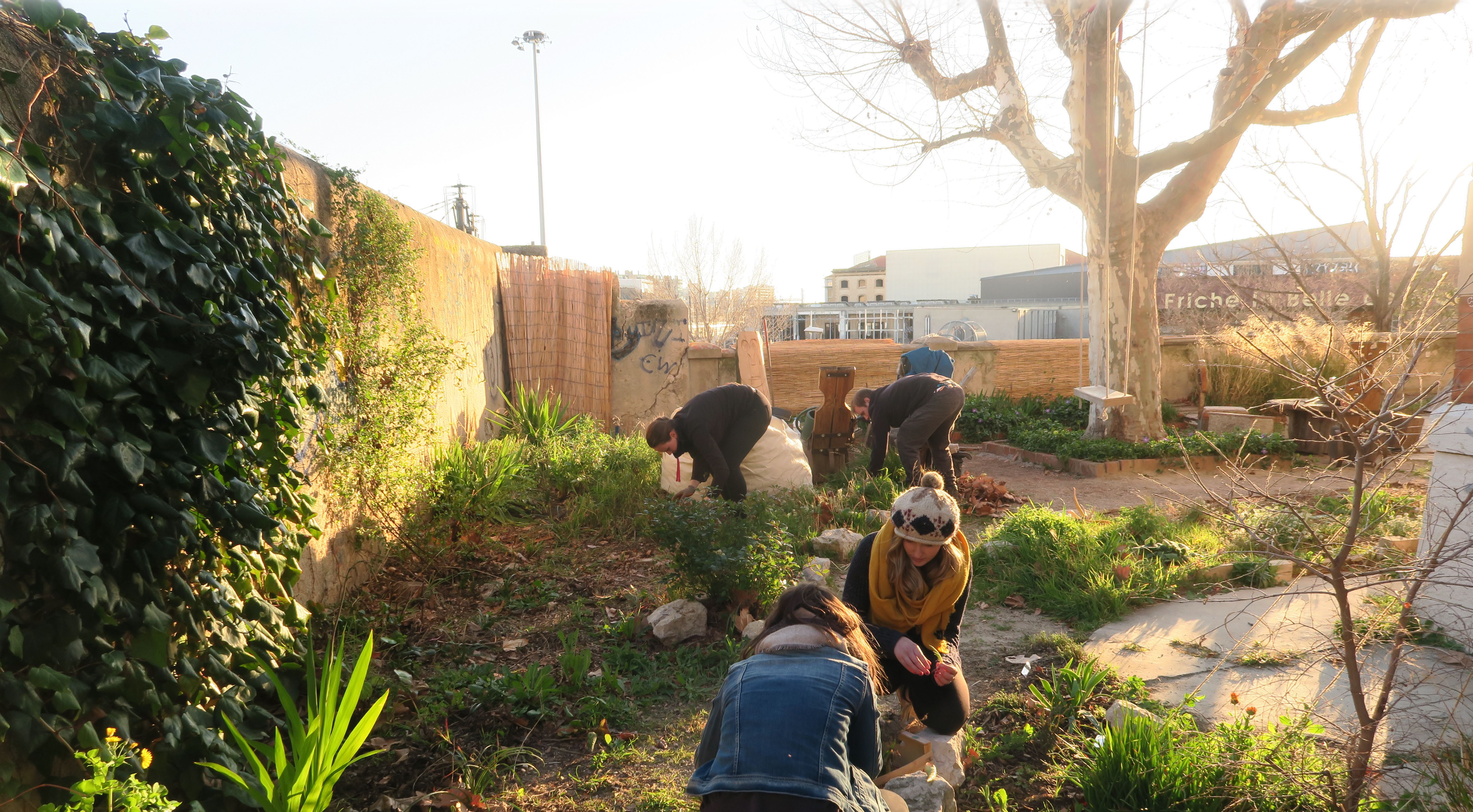 Entre friche et toiture, jardiner la ville méditerranéenne à l’ENSP – Marseille