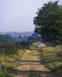 Le nouveau chemin de la revue « Jardins »…