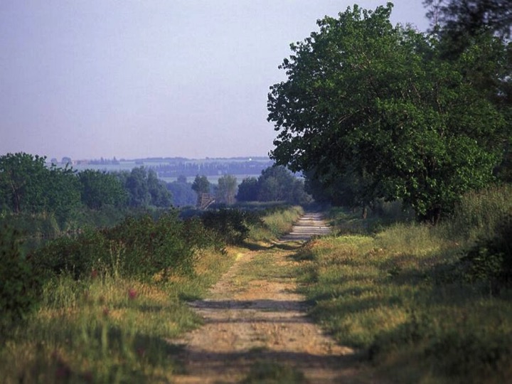 Le nouveau chemin de la revue « Jardins »…