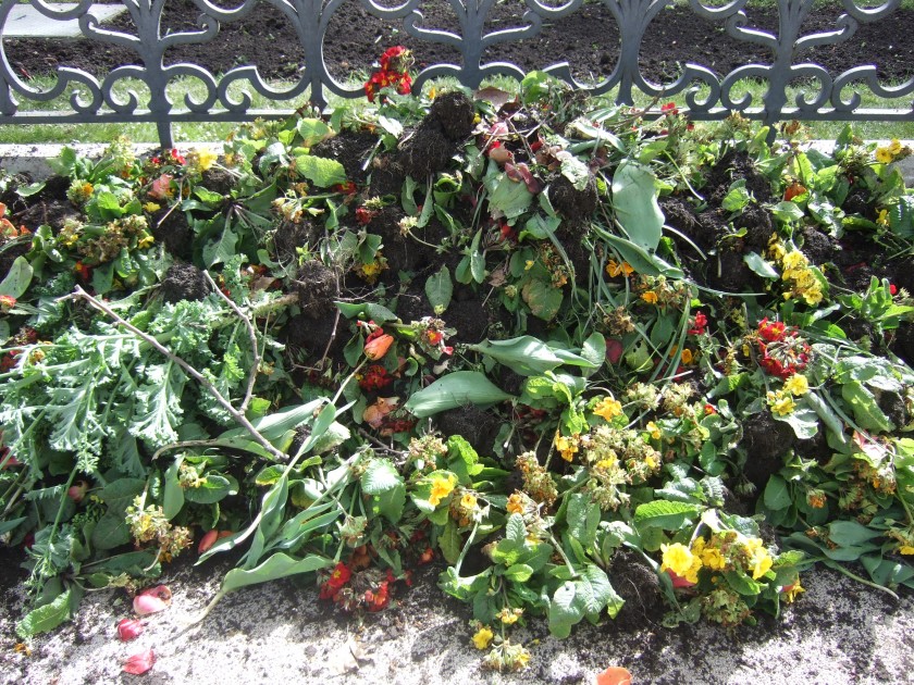 Stop aux fleurs jetables dans les villes !