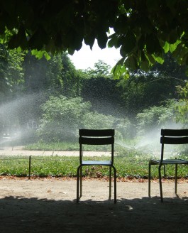 Aller flâner aux Tuileries